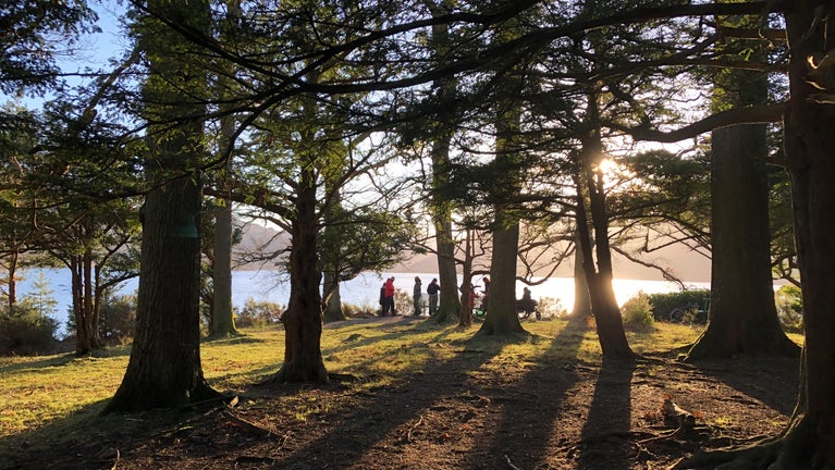 A group including a wheel chair user stopping at Broomhill point to take in the view on a sunny winter's day